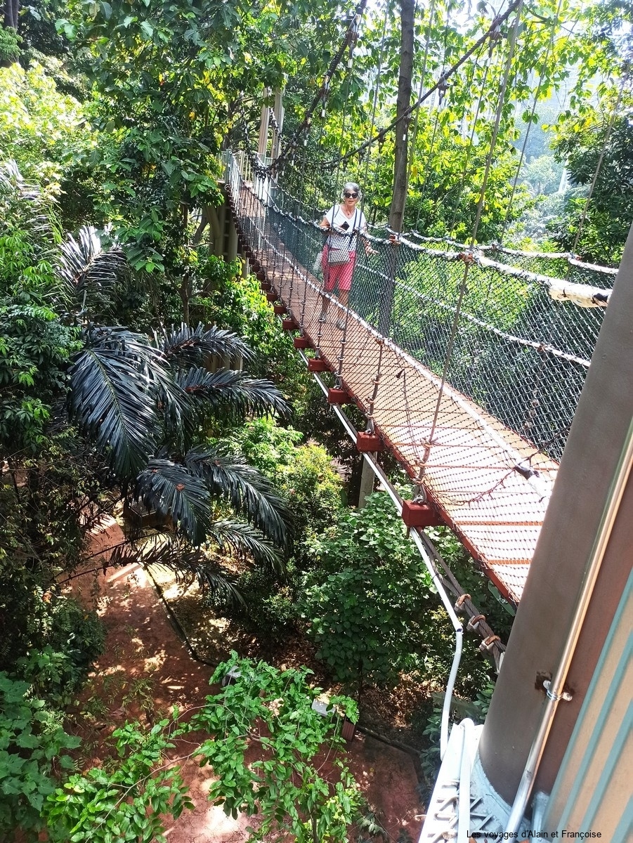 IMG_20260228_112237-Copier