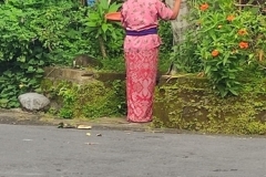 Bali-Sukawati2