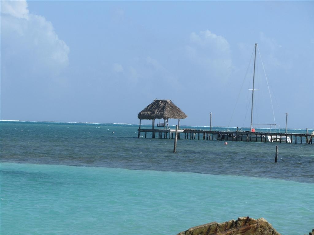 IMG_5754 (Large)