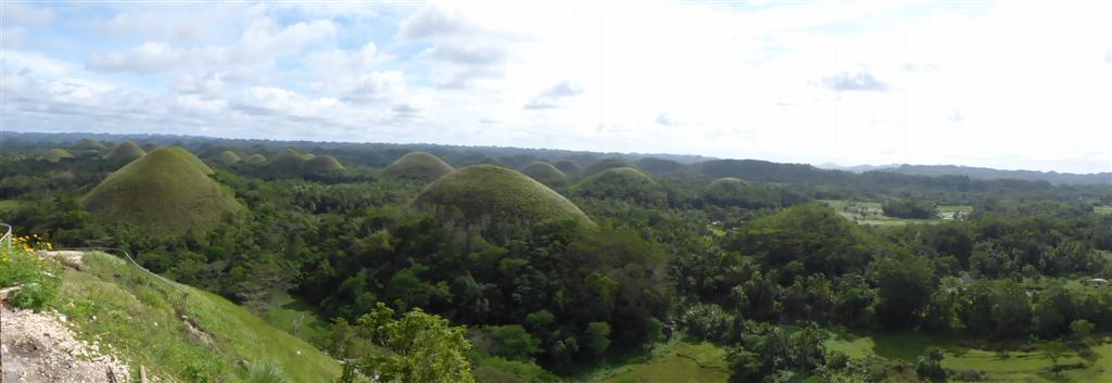 p1000319-large