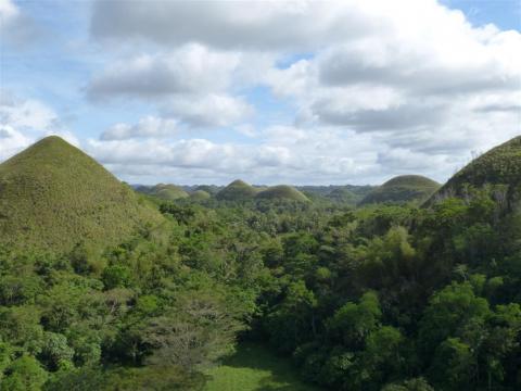 p1000325-large