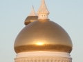 P1020755