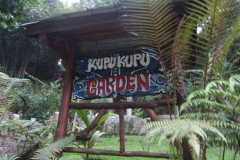 Bukit Lawang