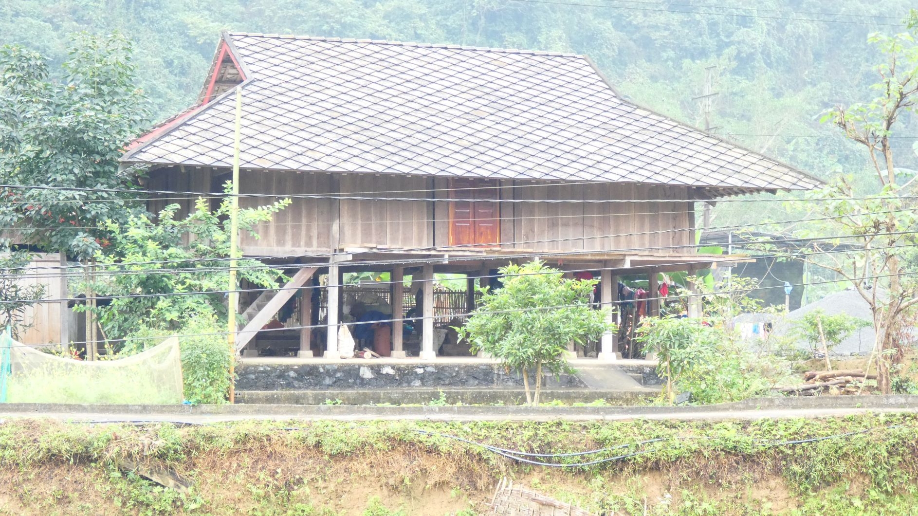 P1010729