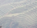 P1010811