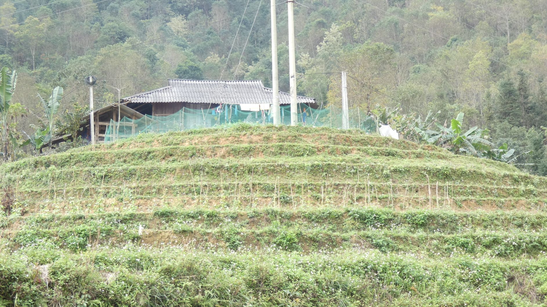 P1020051