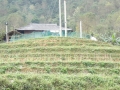P1020051