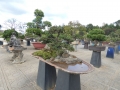 P1000897