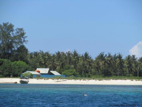 img_0999-large