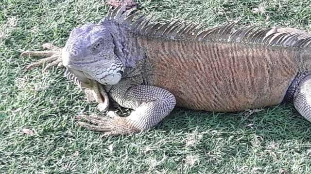 20180222_165640