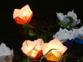 P1010136