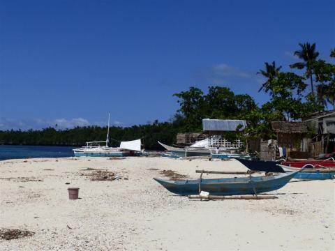 p1000471-large