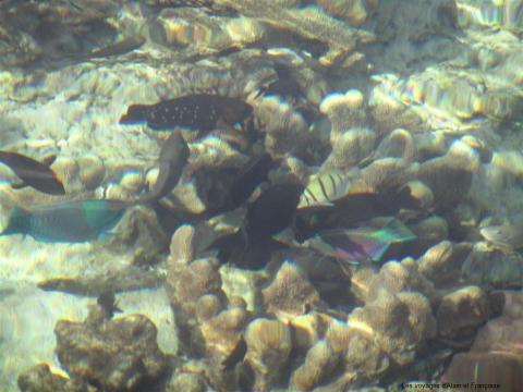 img_2171-large