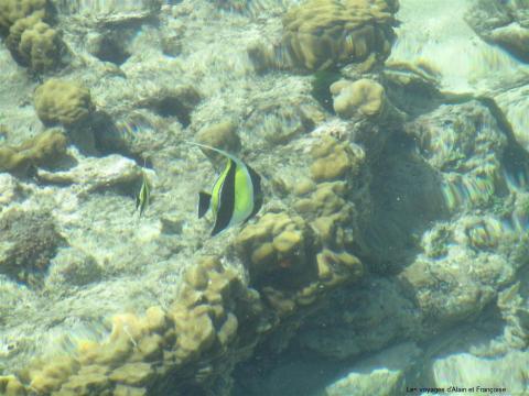 img_2230-large