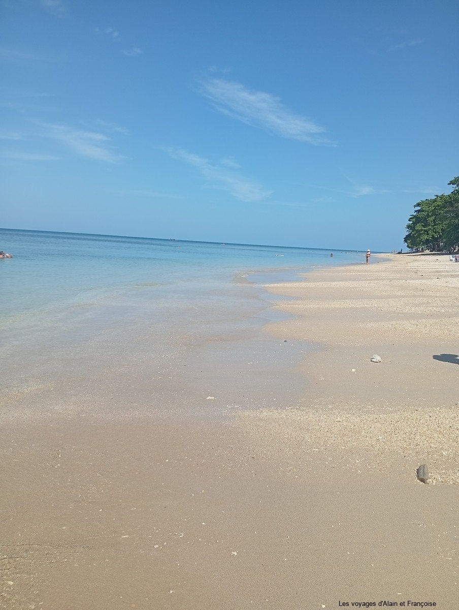 IMG_20260130_104034-Copier