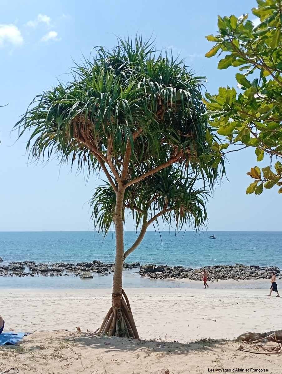 IMG_20260131_125946-Copier