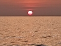 IMG_20260129_182735-Copier
