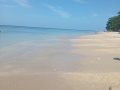 IMG_20260130_104034-Copier