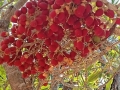 IMG_20260131_125916-Copier