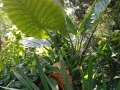IMG_20260202_111018-Copier
