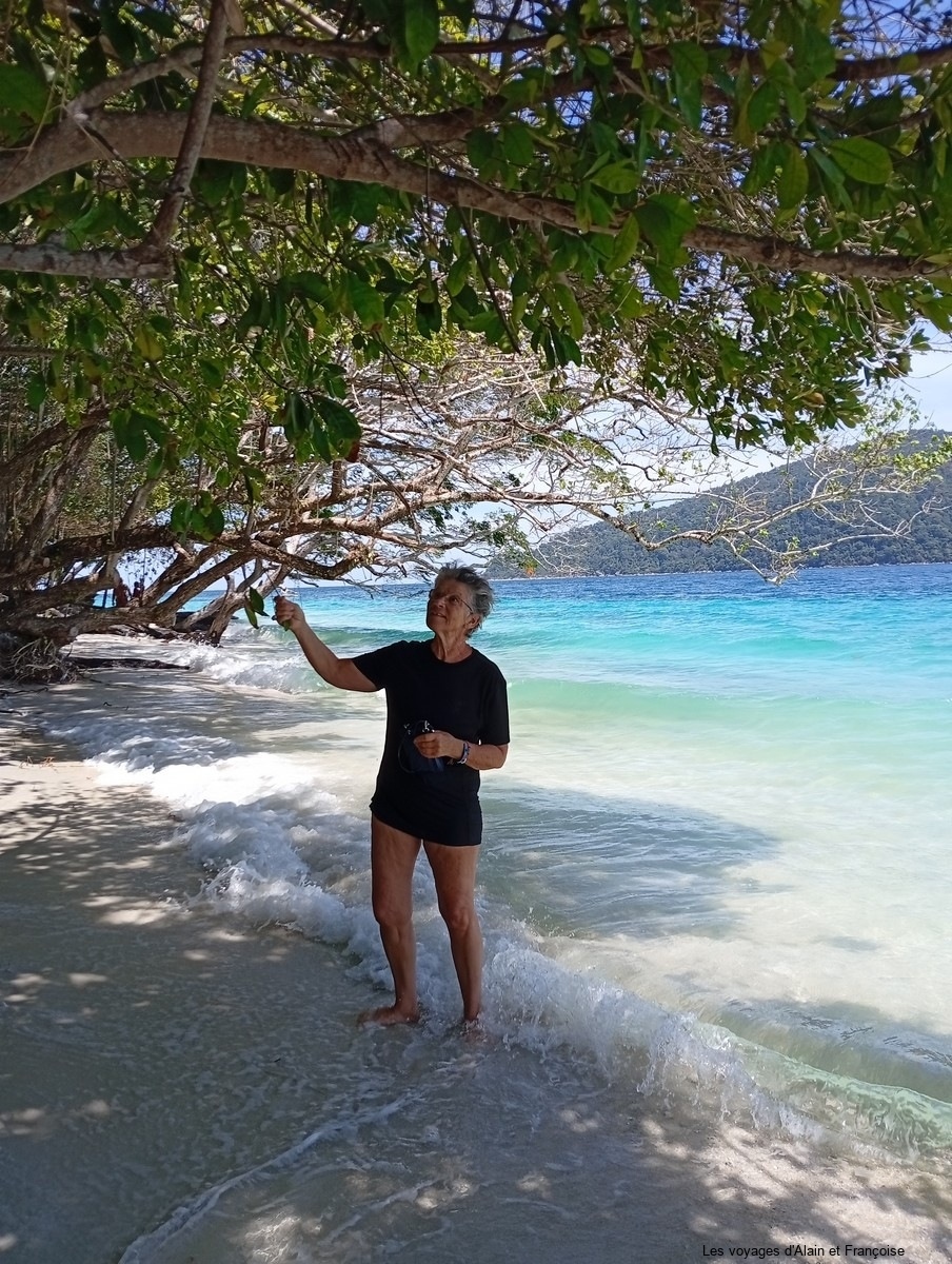 IMG_20260205_123107-Copier