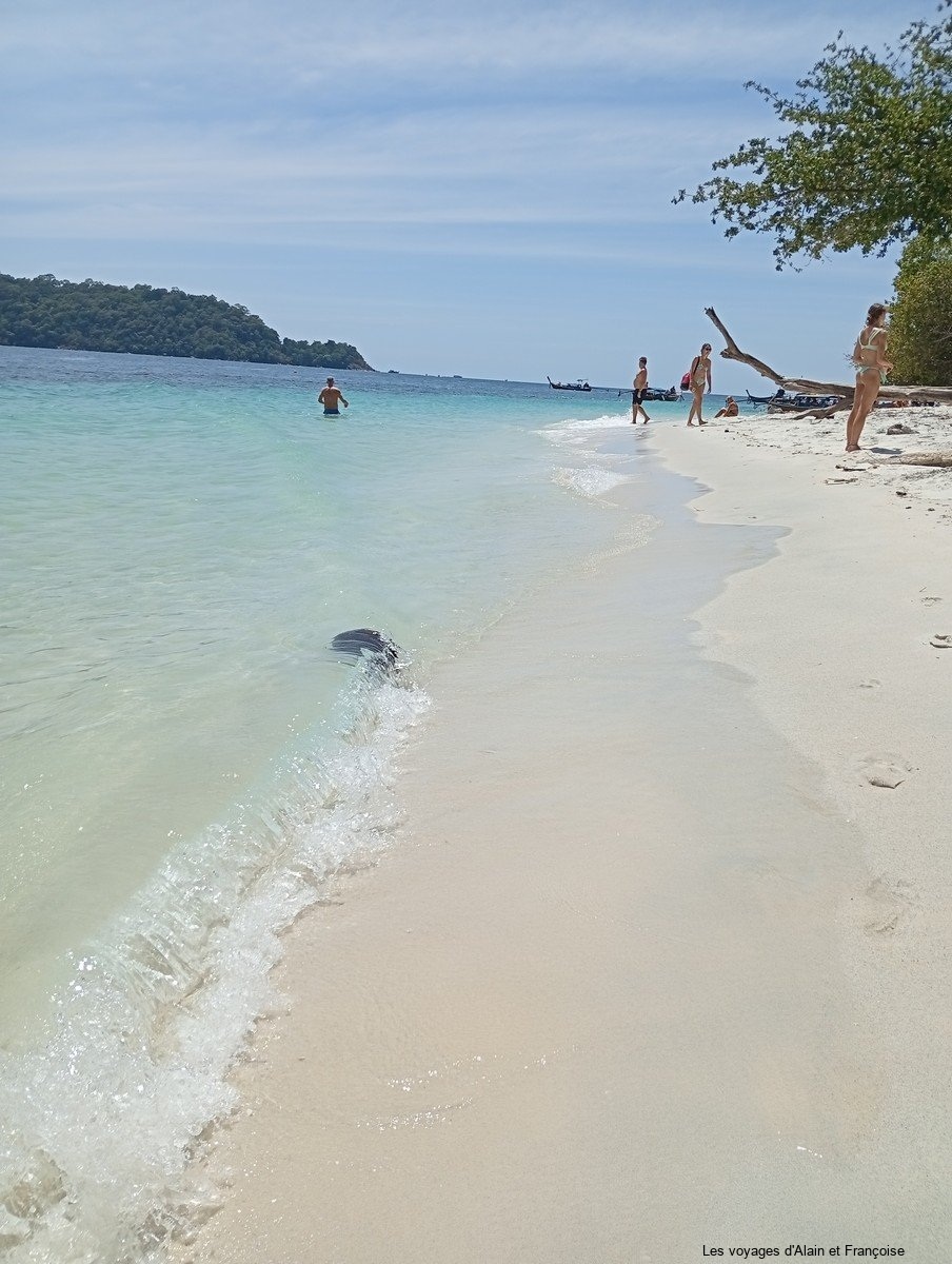 IMG_20260205_123359-Copier