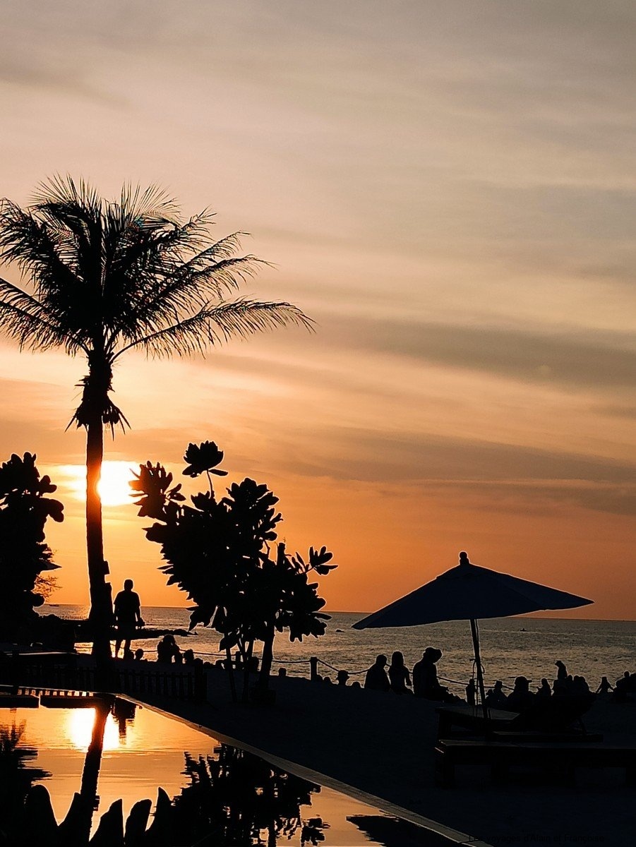 IMG_20260205_181607-Copier