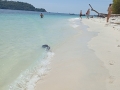 IMG_20260205_123359-Copier