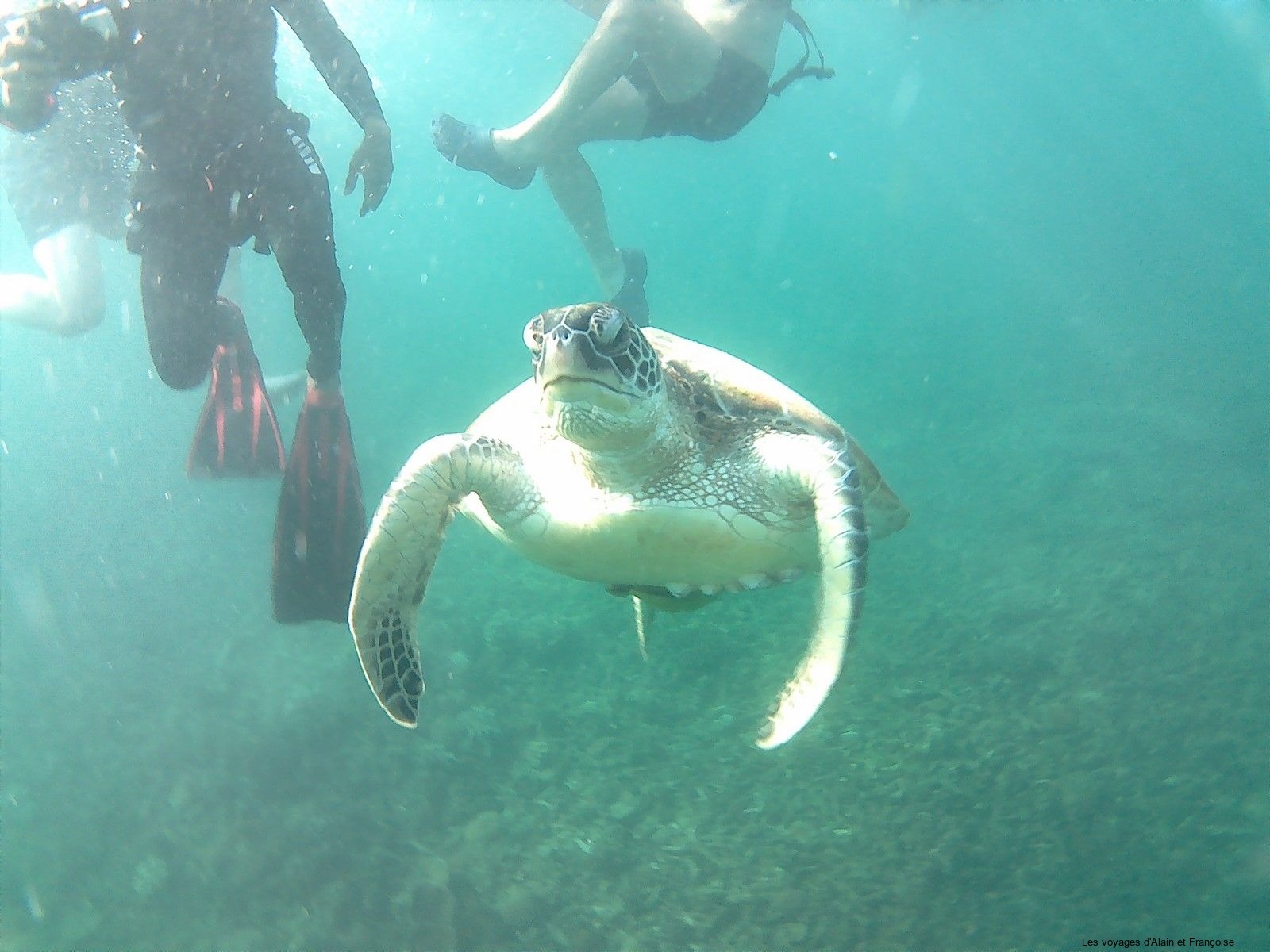 This photo is taken by AllWinner's v3-sdv