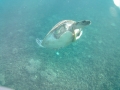 This photo is taken by AllWinner's v3-sdv