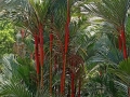 IMG_20260302_123933-Copier
