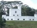 P1030265