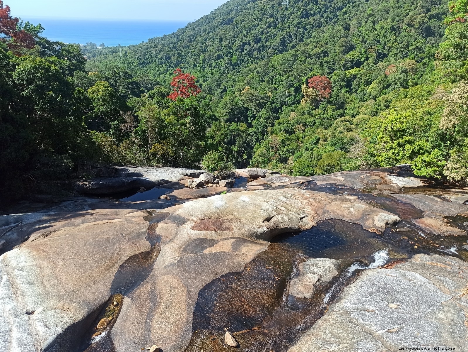 IMG_20260211_110916-Copier