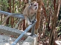 IMG_20260208_134526-Copier