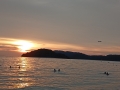 IMG_20260208_192049-Copier