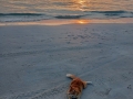 IMG_20260208_192336-Copier