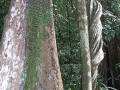 IMG_20260211_103912-Copier