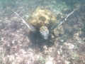 This photo is taken by AllWinner's v3-sdv