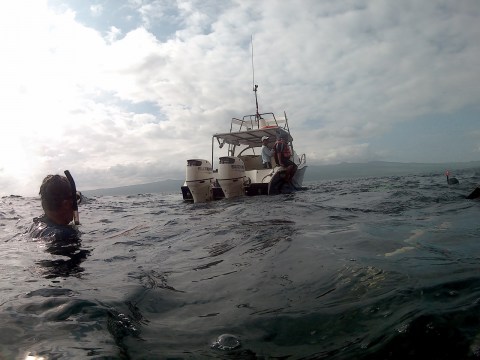 This photo is taken by AllWinner's v3-sdv