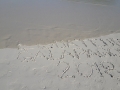 20180310_160956 (Copier)