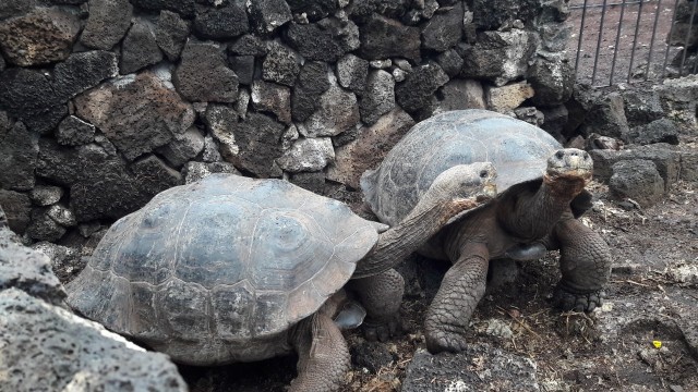 20180225_174749-1280x720