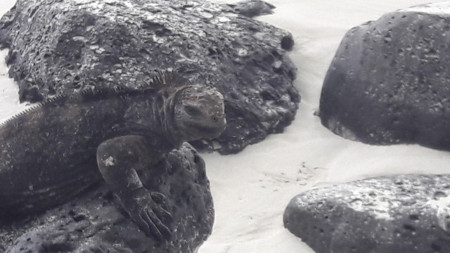 20180226_131212-1280x720