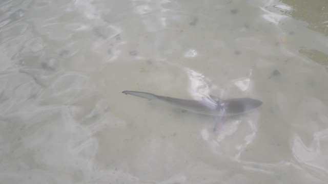 20180226_150119-1280x720