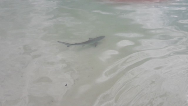 20180226_151723-1280x720