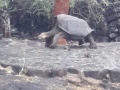 20180225_172605-1024x1820