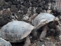 20180225_174749-1280x720