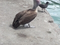 20180226_103217-1024x1820