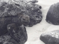 20180226_131212-1280x720