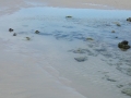 20180226_164207-1024x1820