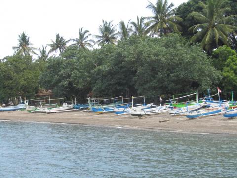 img_0389-large